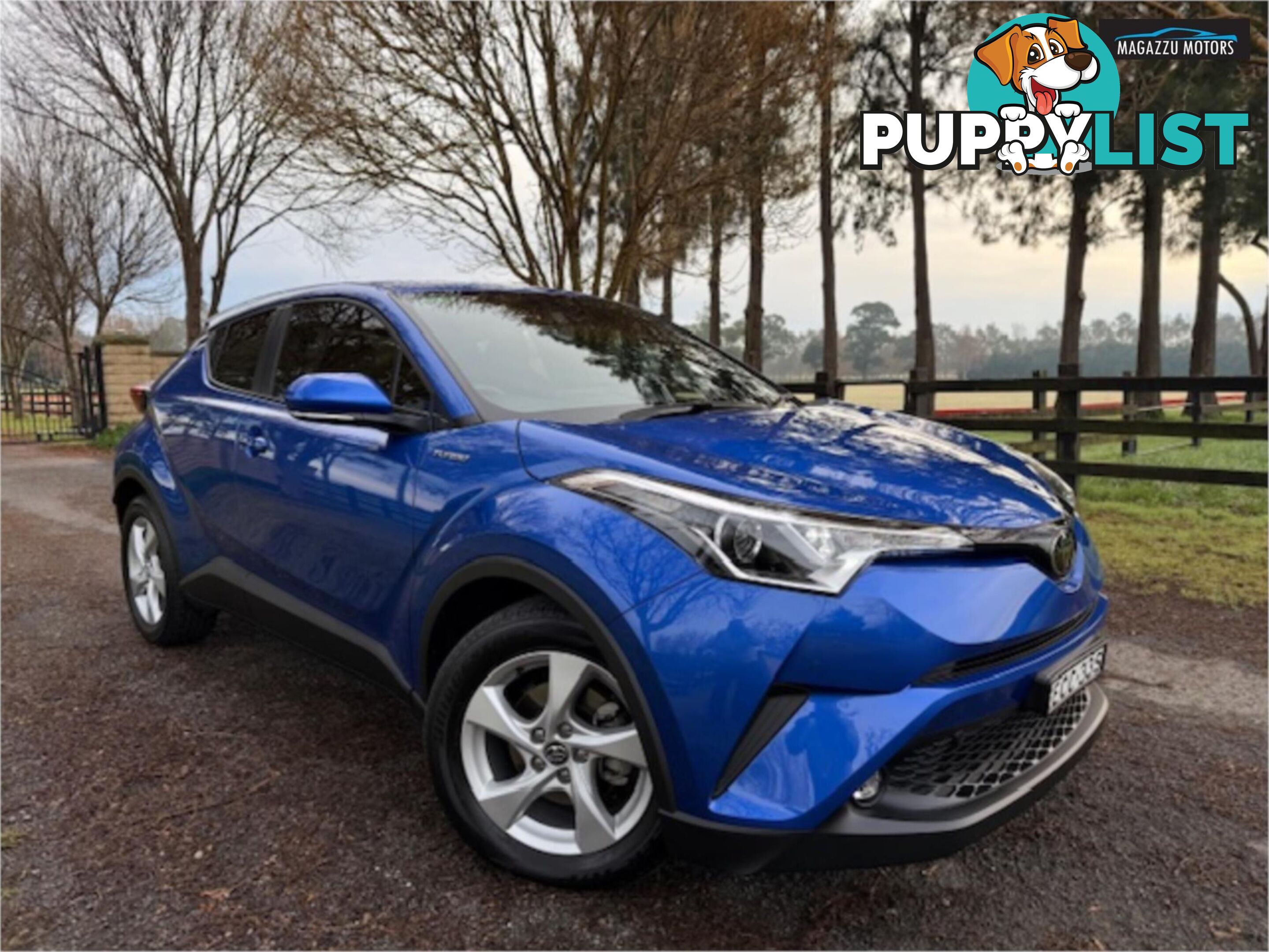 2019 TOYOTA C-HR  NGX10RUPDATE 4D WAGON