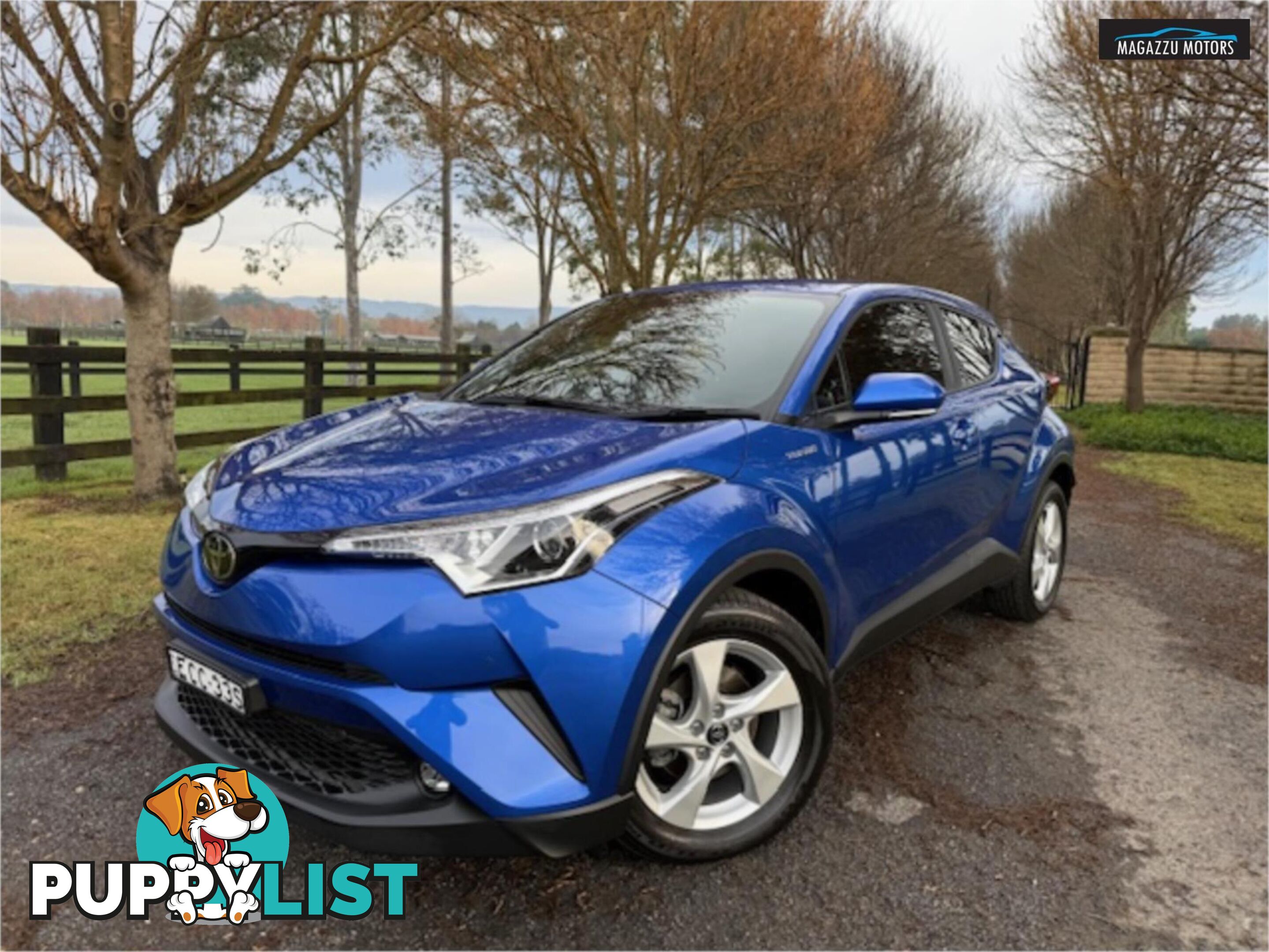 2019 TOYOTA C-HR  NGX10RUPDATE 4D WAGON