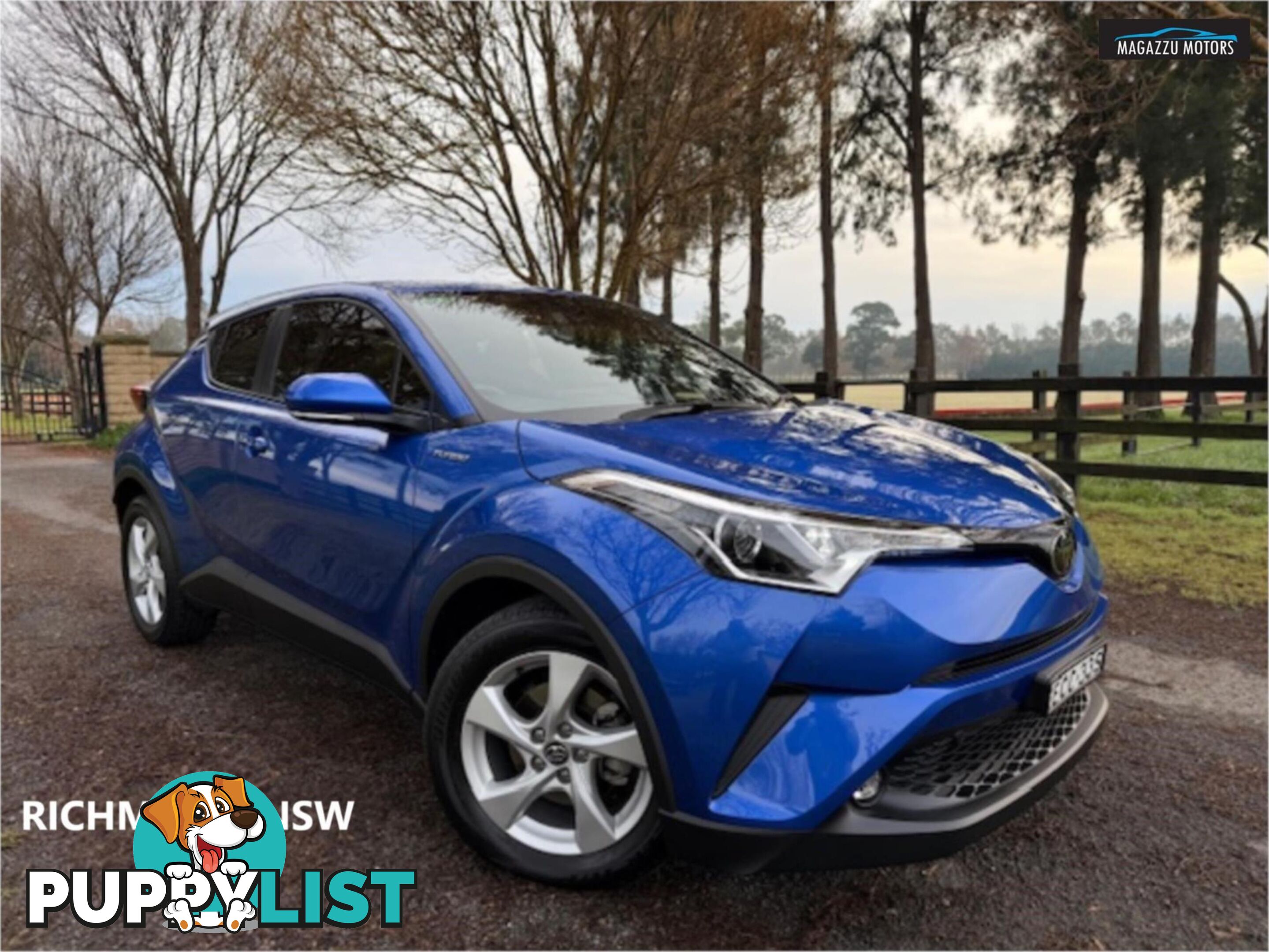 2019 TOYOTA C-HR  NGX10RUPDATE 4D WAGON