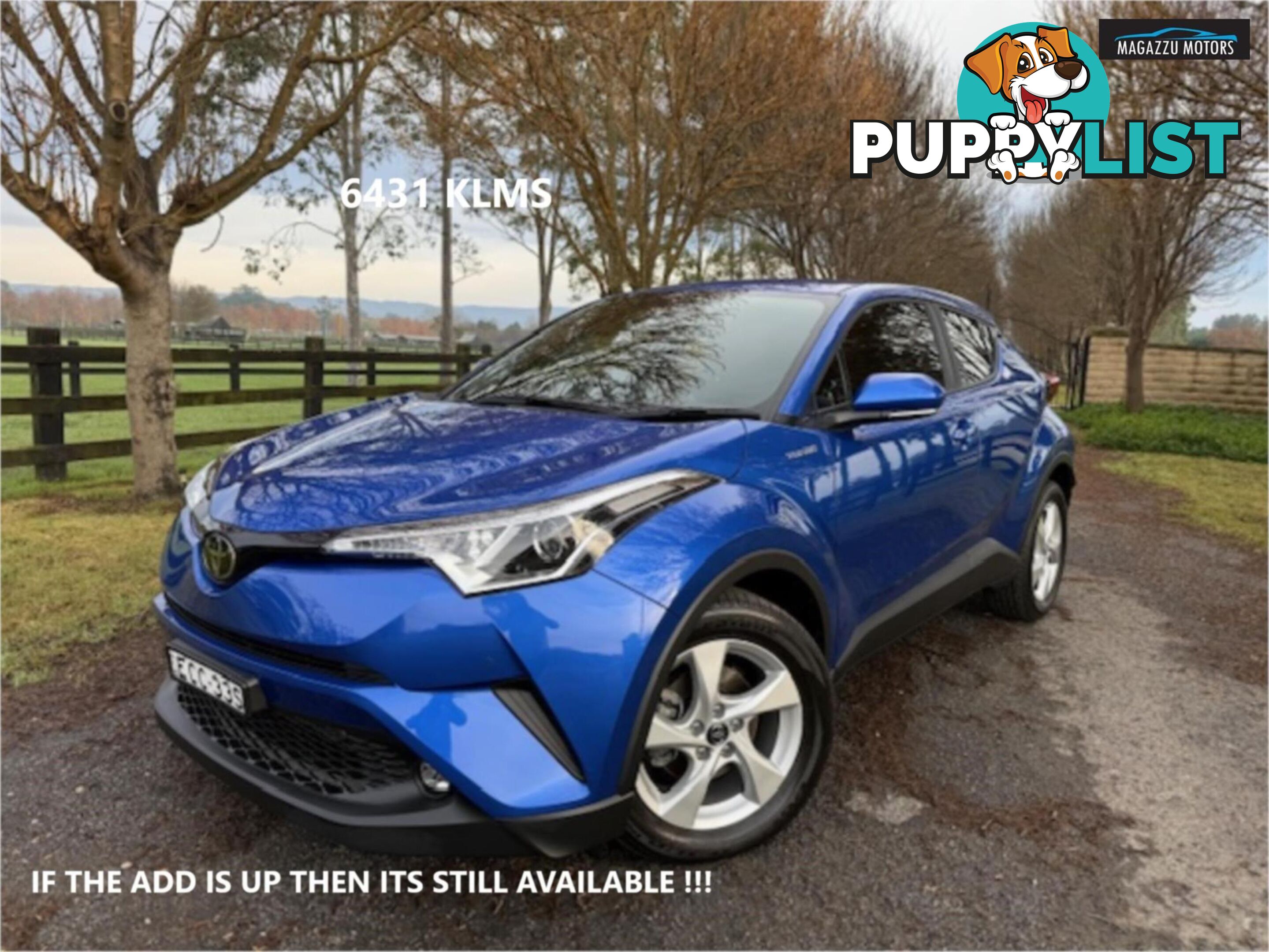 2019 TOYOTA C-HR  NGX10RUPDATE 4D WAGON