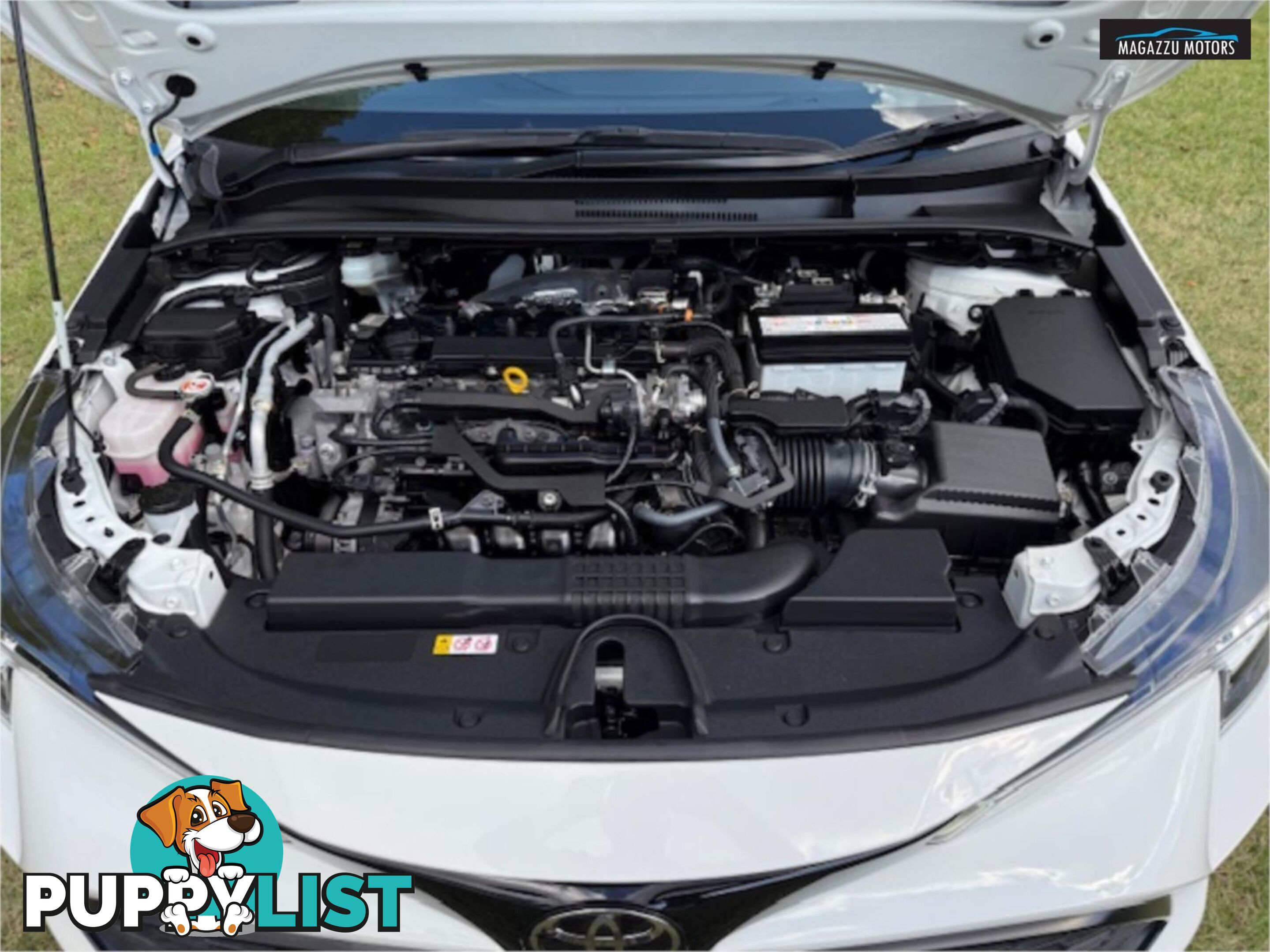 2022 TOYOTA COROLLA ASCENTSPORT MZEA12R 5D HATCHBACK