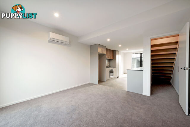 30/1 Chadwick Street TAYLOR ACT 2913