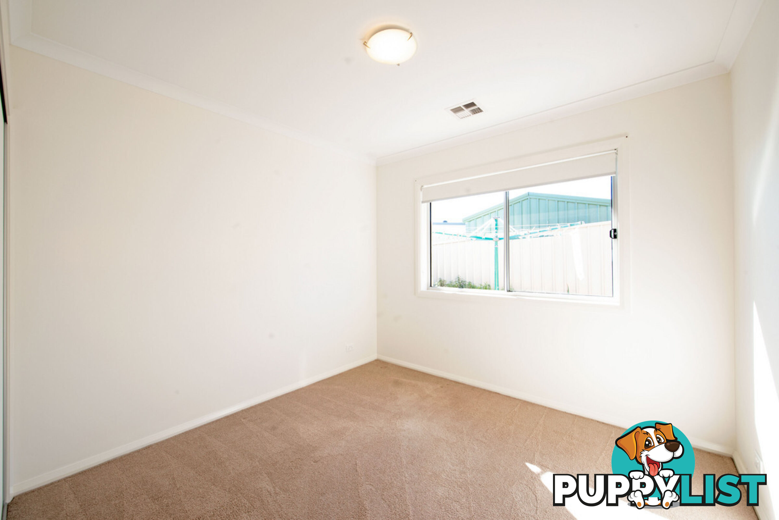 43 Solong Street LAWSON ACT 2617