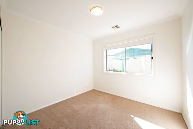 43 Solong Street LAWSON ACT 2617