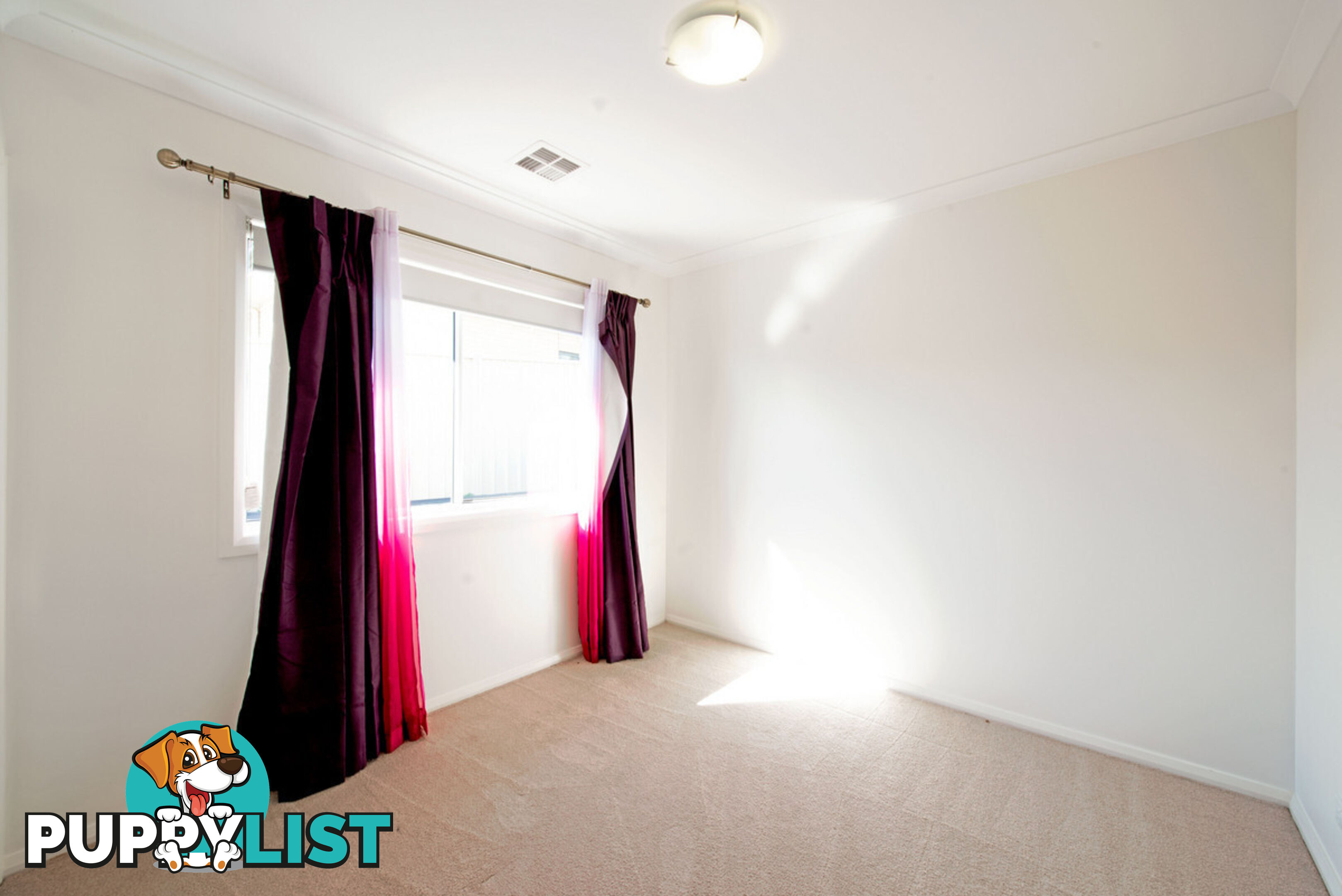 43 Solong Street LAWSON ACT 2617