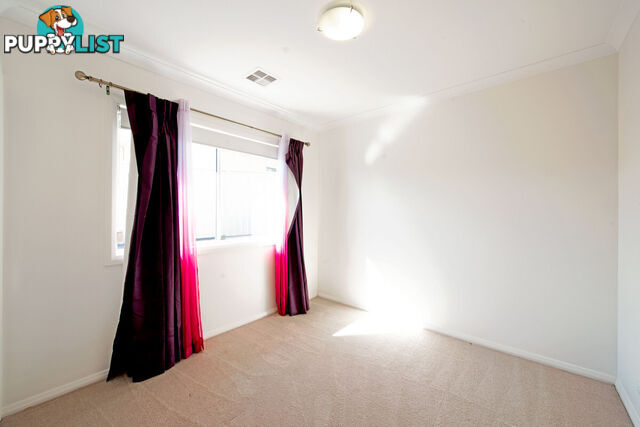 43 Solong Street LAWSON ACT 2617