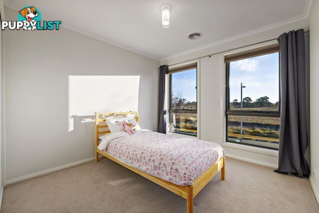 66 Marie Pitt Street FRANKLIN ACT 2913