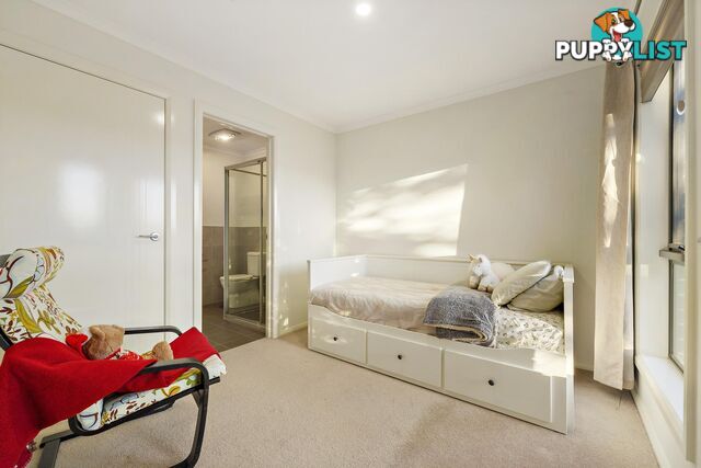 66 Marie Pitt Street FRANKLIN ACT 2913