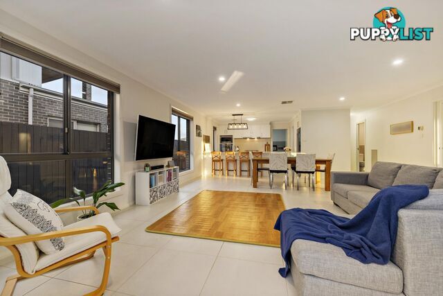 66 Marie Pitt Street FRANKLIN ACT 2913
