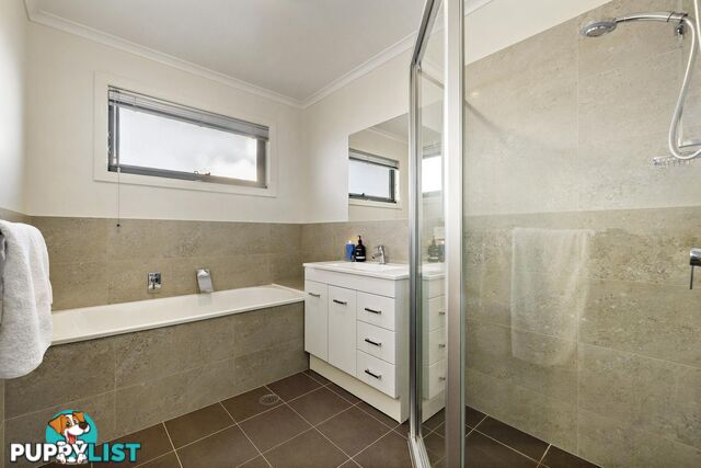 66 Marie Pitt Street FRANKLIN ACT 2913