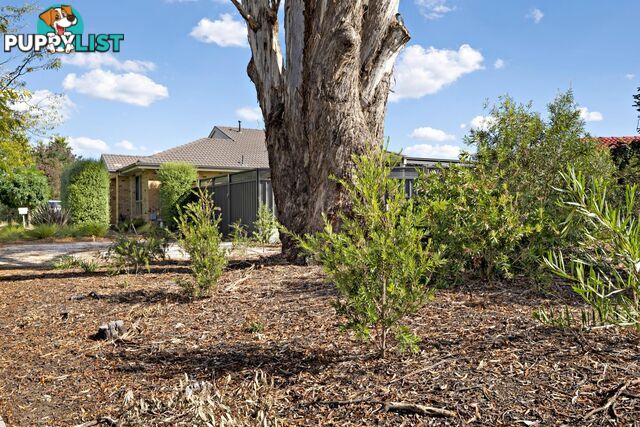 11 Wellesley Street AMAROO ACT 2914