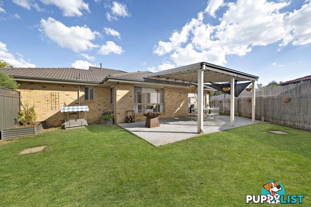 11 Wellesley Street AMAROO ACT 2914