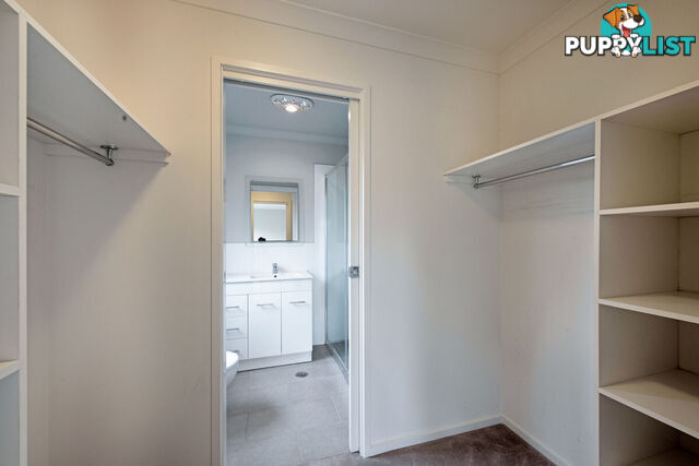 4/85 Croton Street RIVETT ACT 2611