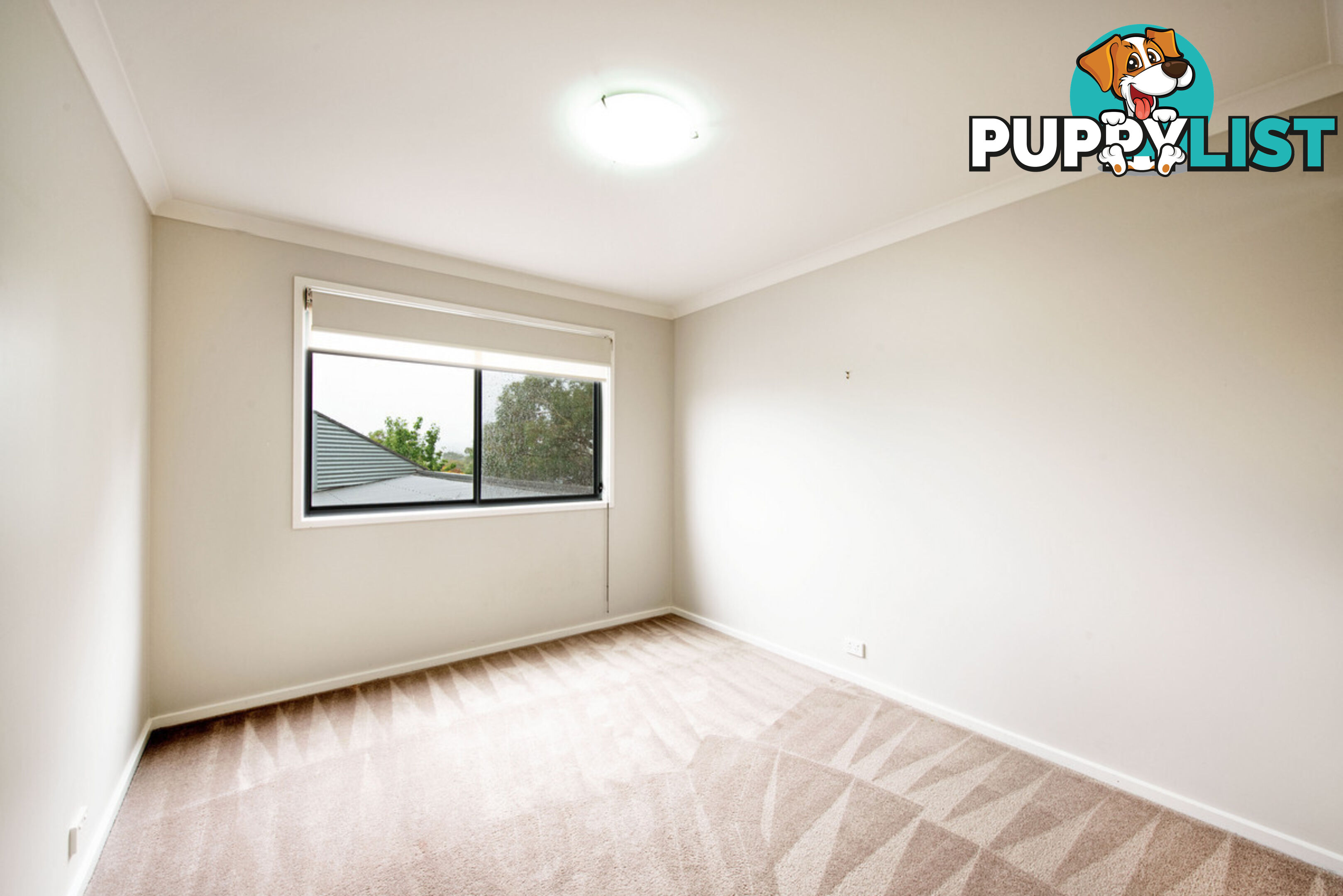 4/85 Croton Street RIVETT ACT 2611