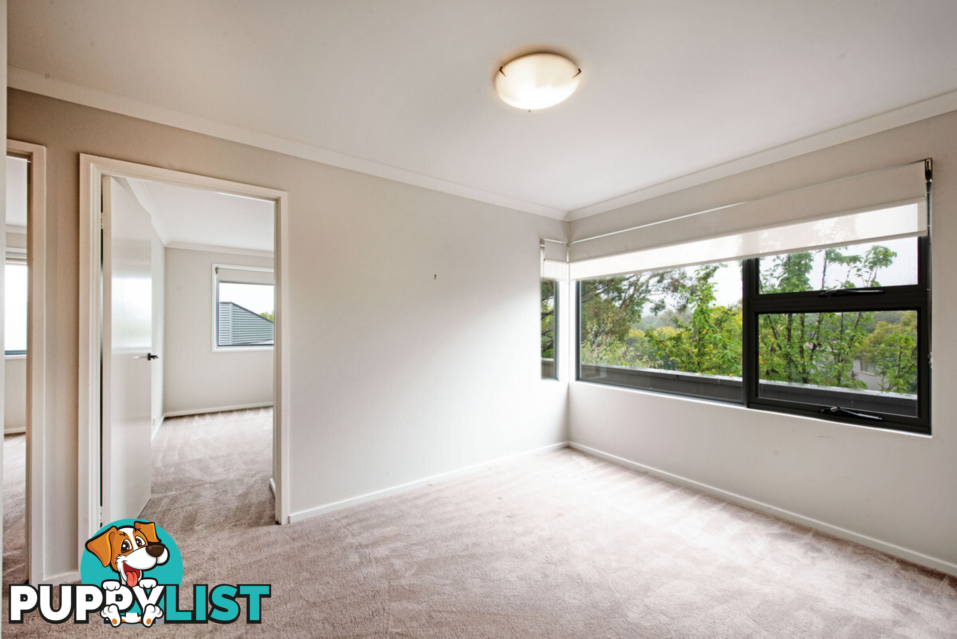 4/85 Croton Street RIVETT ACT 2611