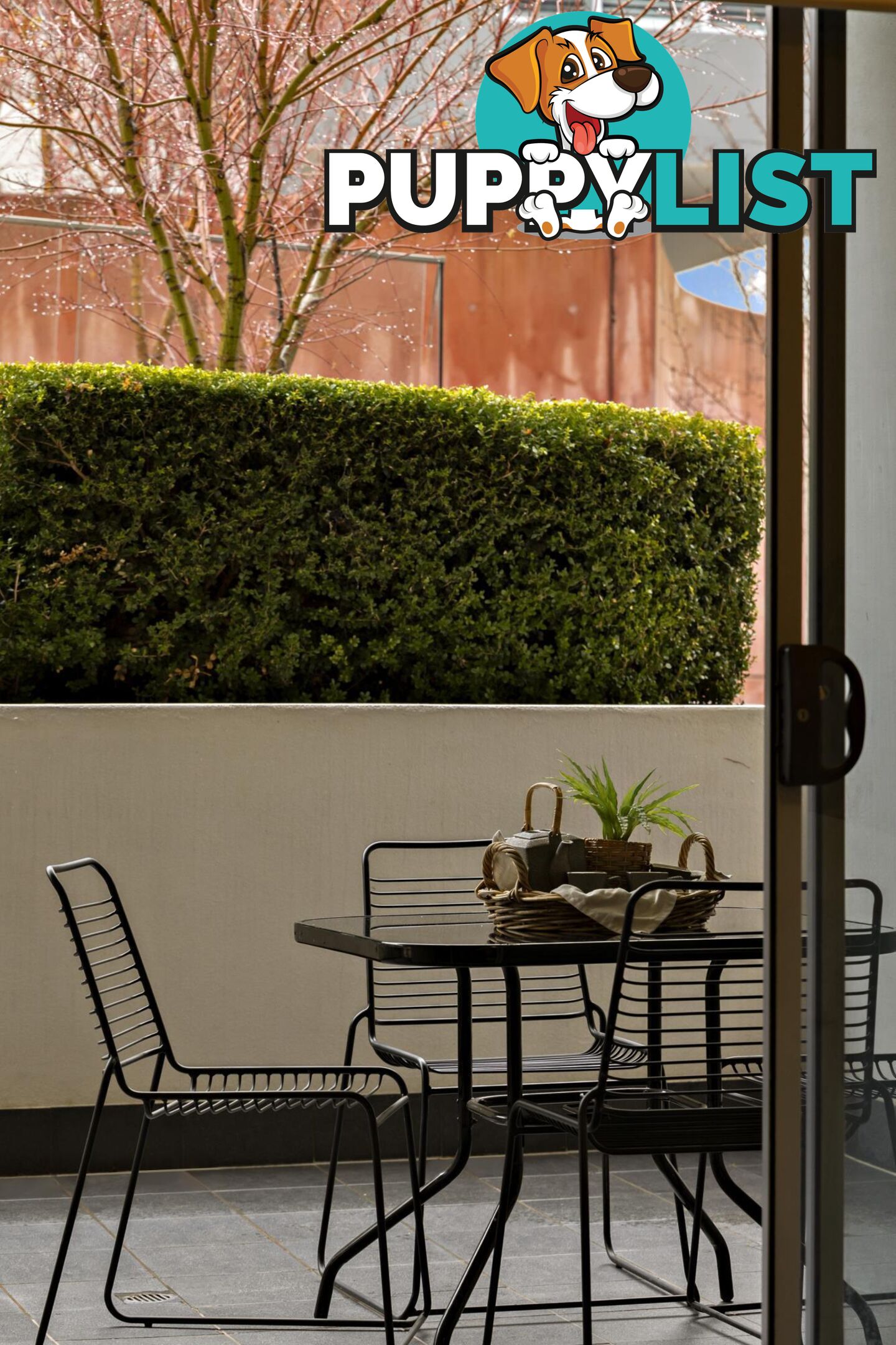 93/51 Catalano Street WRIGHT ACT 2611