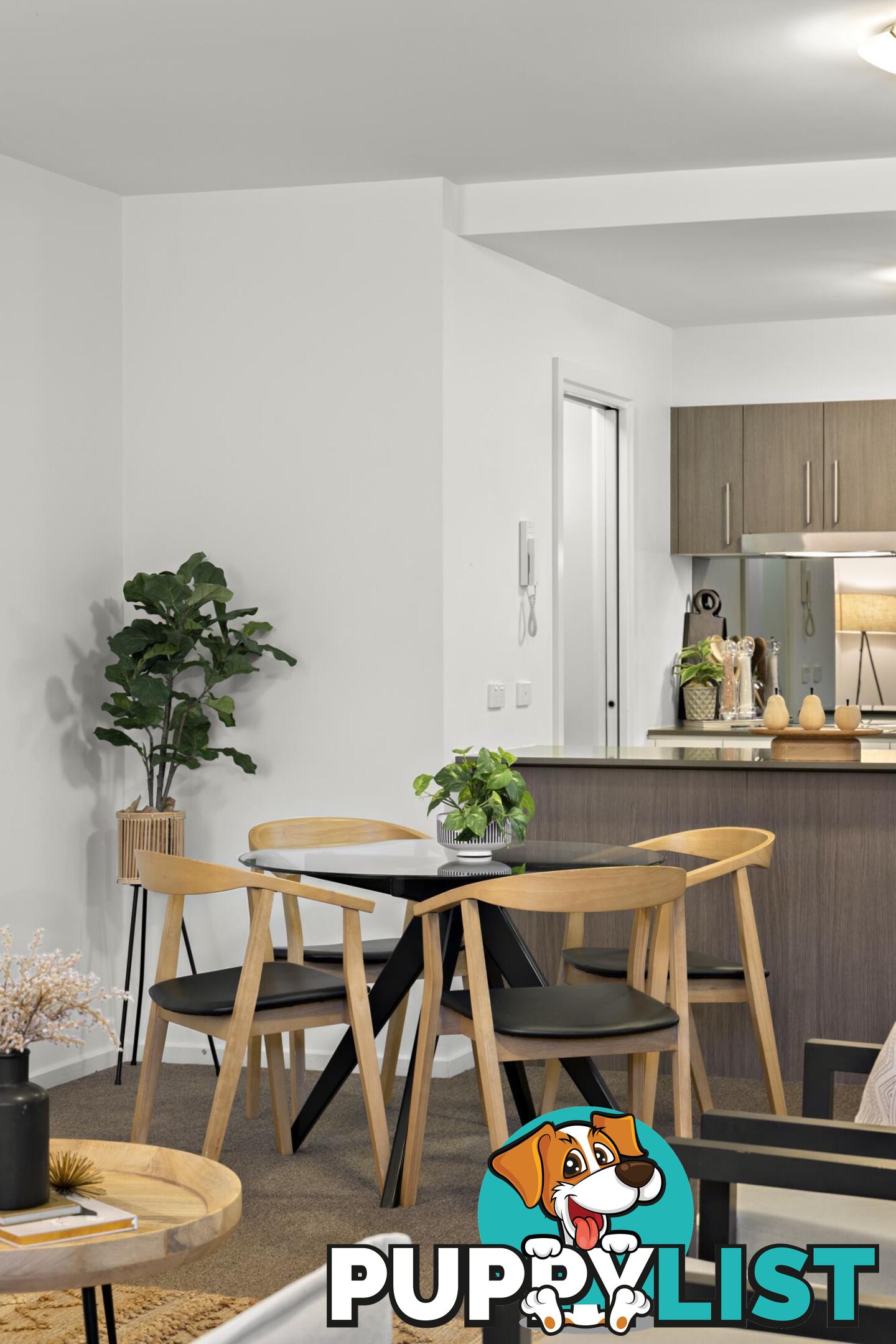 93/51 Catalano Street WRIGHT ACT 2611
