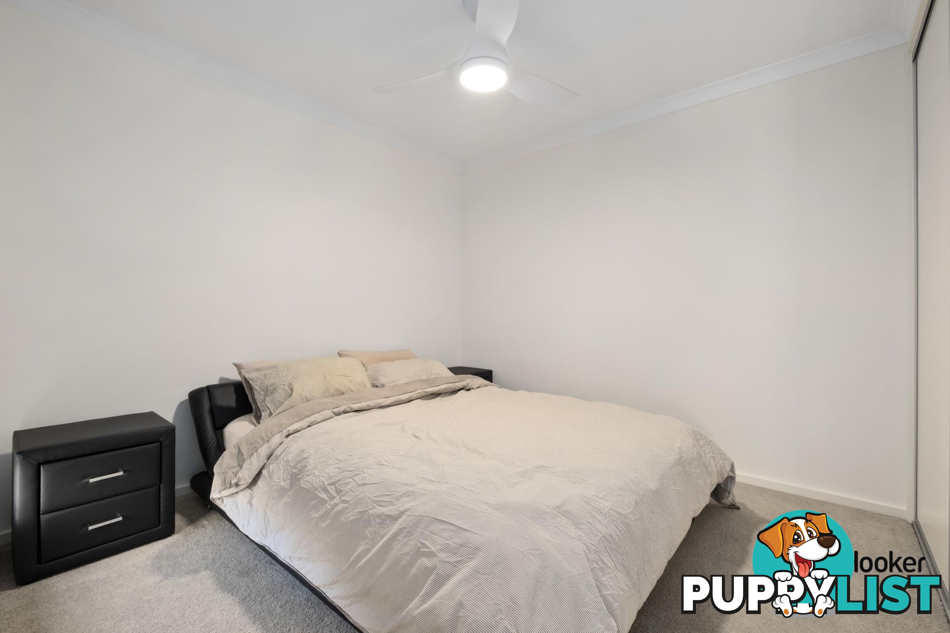 14 Vahland Street TAYLOR ACT 2913