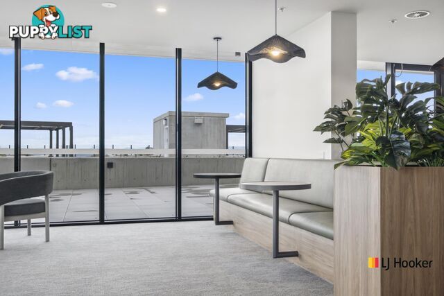 2 Bed + Study 611/61 Camilleri Way GUNGAHLIN ACT 2912