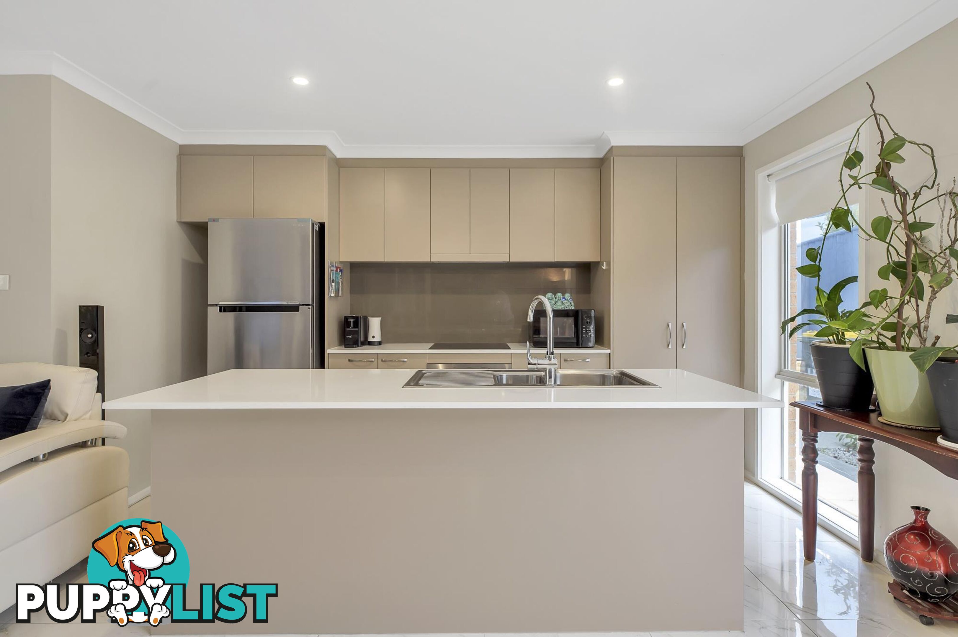 6 Amaryllis Street WRIGHT ACT 2611