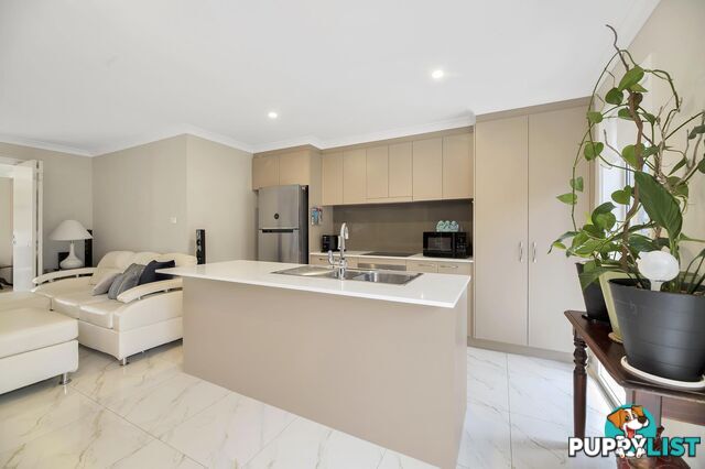 6 Amaryllis Street WRIGHT ACT 2611