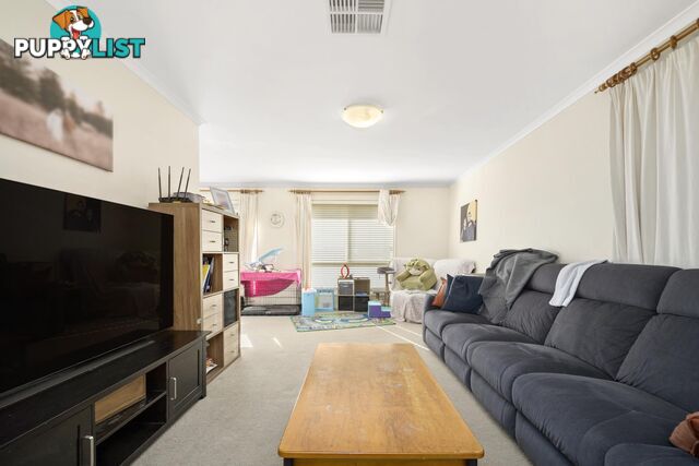 15 Ferguson Circuit NGUNNAWAL ACT 2913