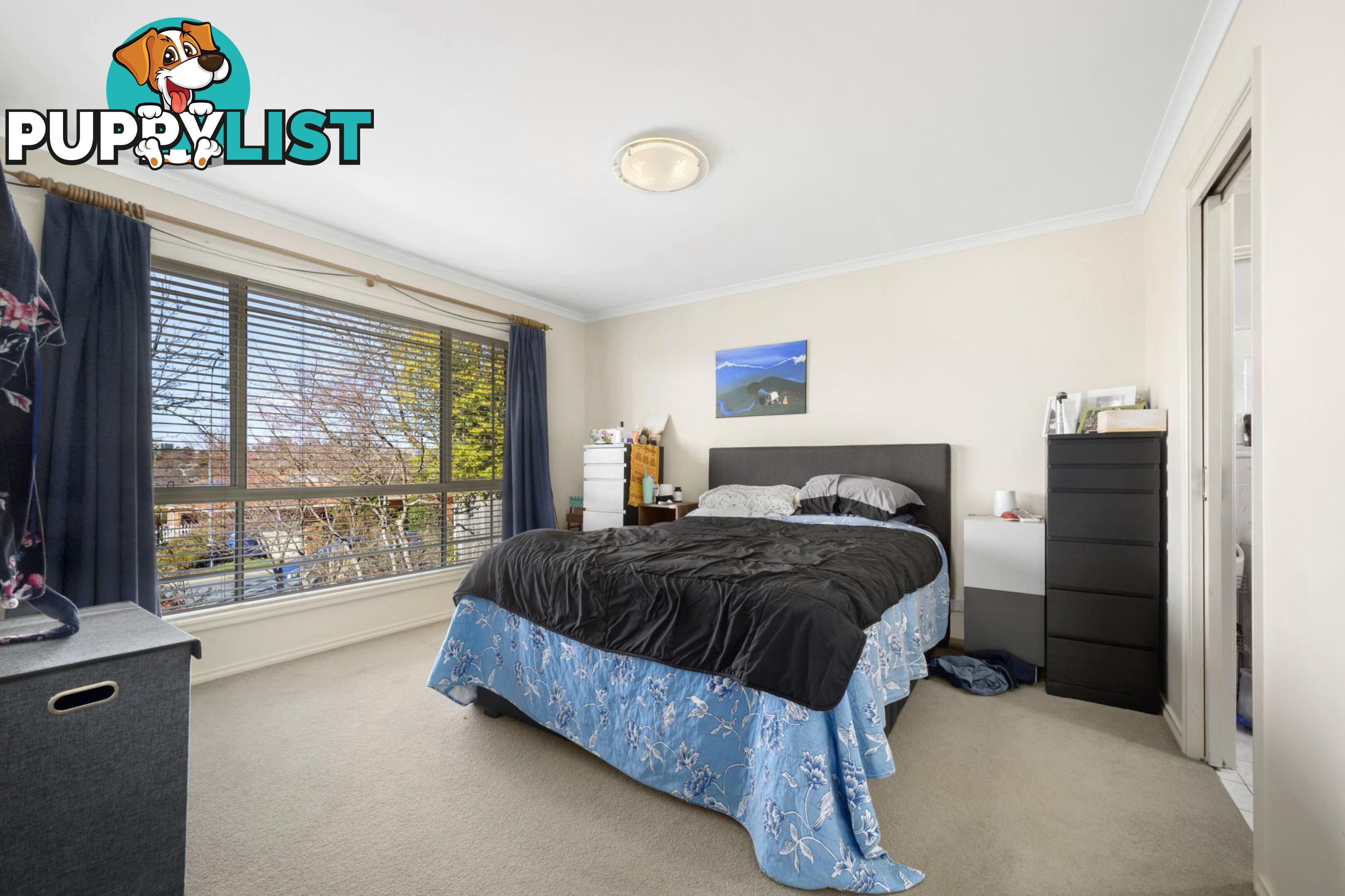 15 Ferguson Circuit NGUNNAWAL ACT 2913