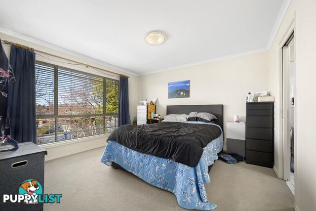 15 Ferguson Circuit NGUNNAWAL ACT 2913