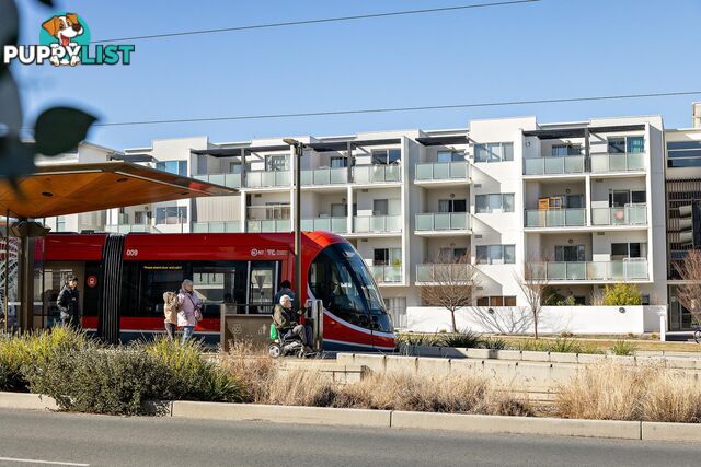 99/230 Flemington Road HARRISON ACT 2914