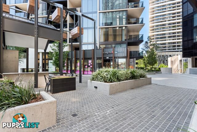 1103/6 Grazier Lane BELCONNEN ACT 2617