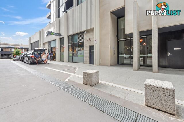 1103/6 Grazier Lane BELCONNEN ACT 2617