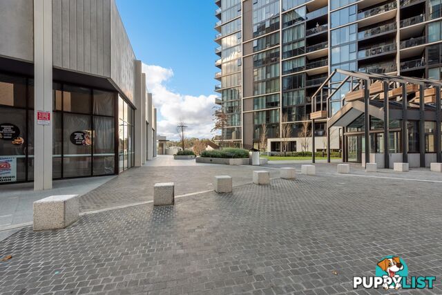 1103/6 Grazier Lane BELCONNEN ACT 2617