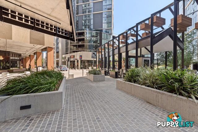 1103/6 Grazier Lane BELCONNEN ACT 2617