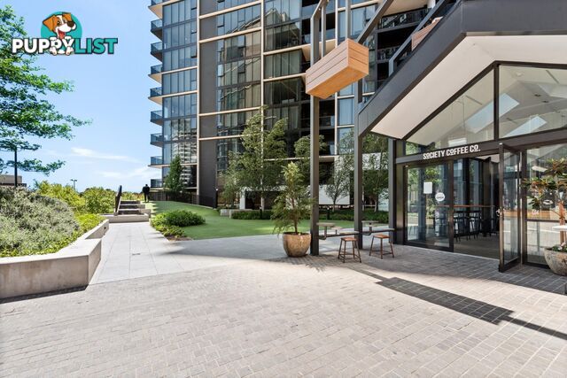 1103/6 Grazier Lane BELCONNEN ACT 2617