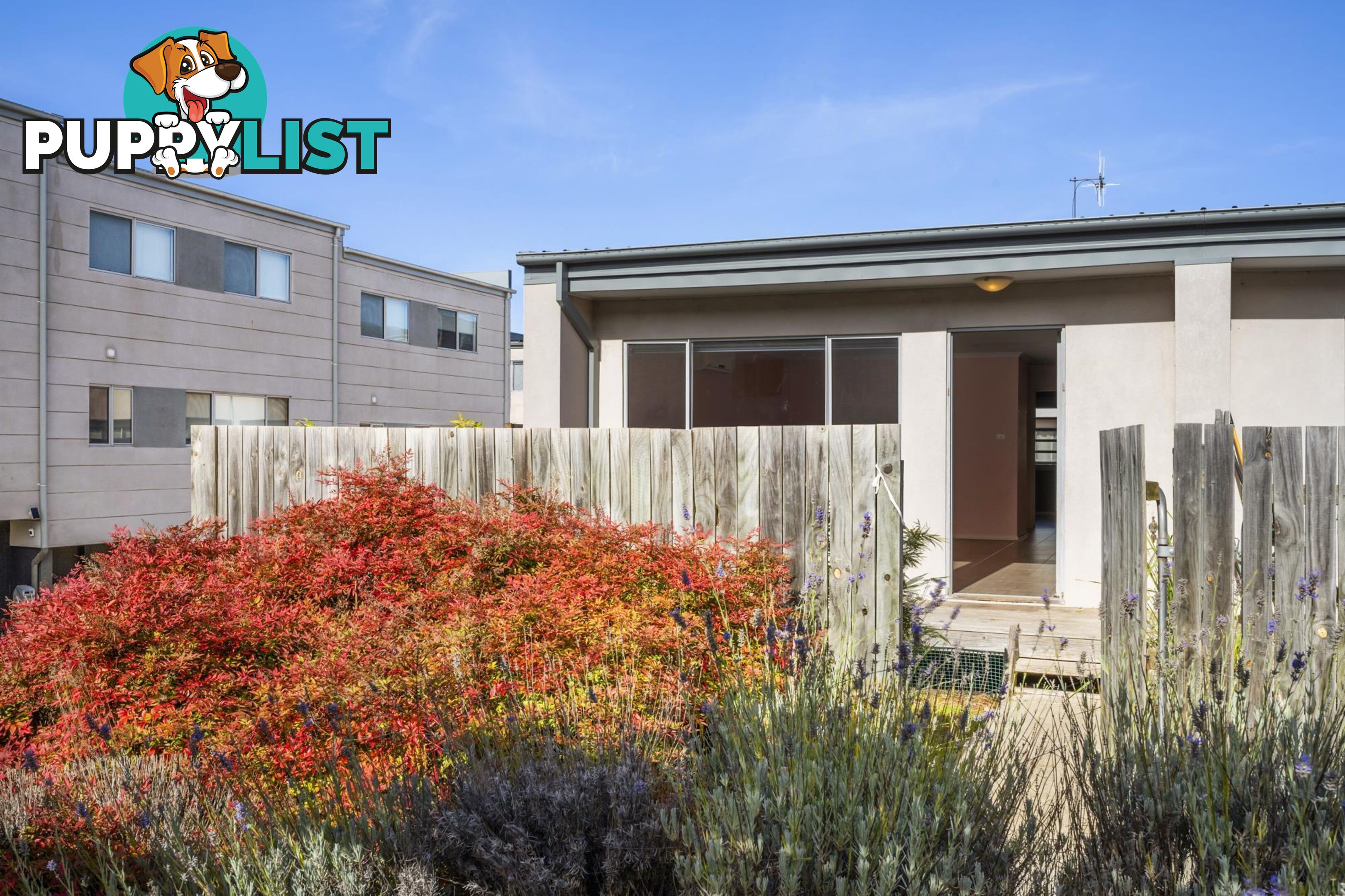 41/15 Andersch Street CASEY ACT 2913