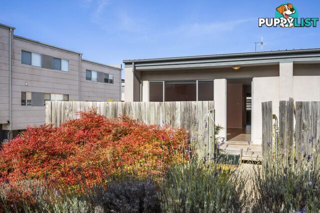 41/15 Andersch Street CASEY ACT 2913