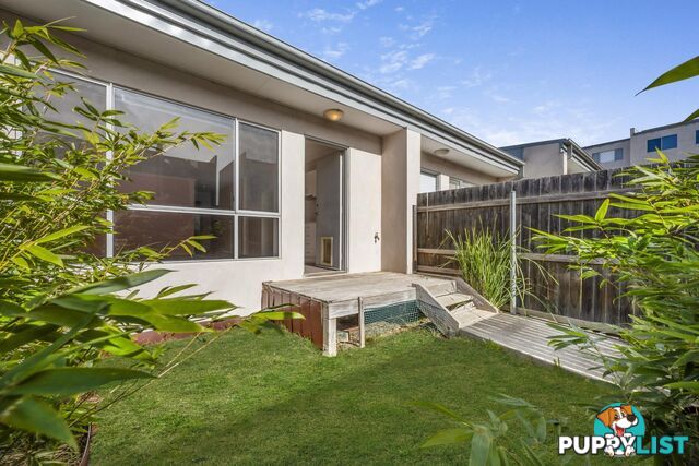 41/15 Andersch Street CASEY ACT 2913