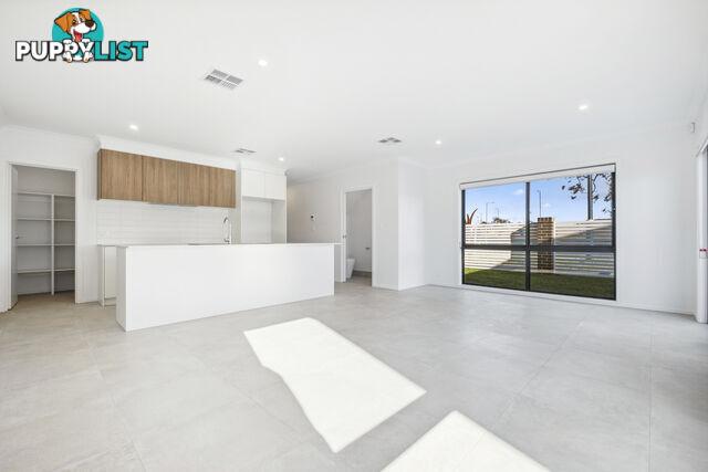 4-14 Gadd Street JACKA ACT 2914