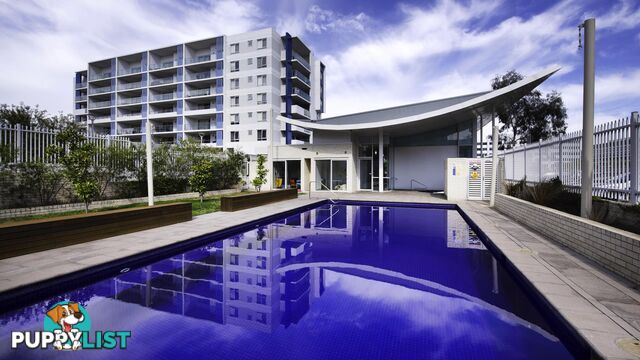 38/57 Benjamin Way BELCONNEN ACT 2617