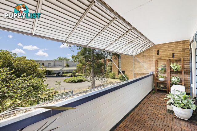 7b/62 Wattle Street LYNEHAM ACT 2602