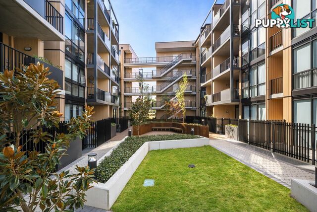 205/39 Braybrooke Street BRUCE ACT 2617