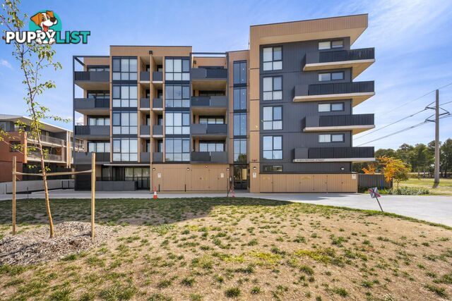 205/39 Braybrooke Street BRUCE ACT 2617