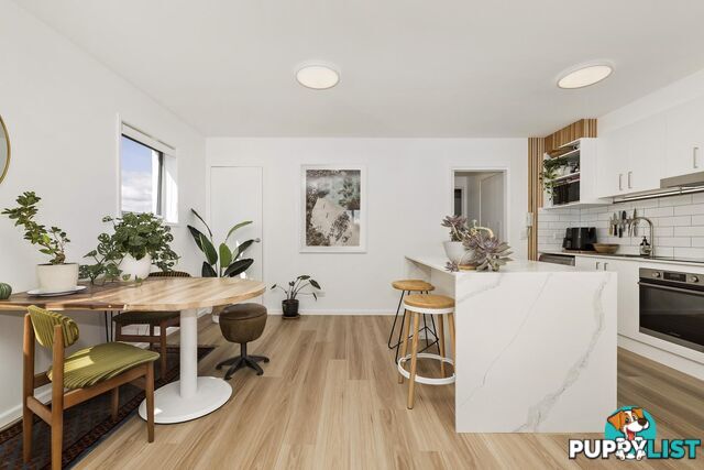 40/329 Flemington Road FRANKLIN ACT 2913