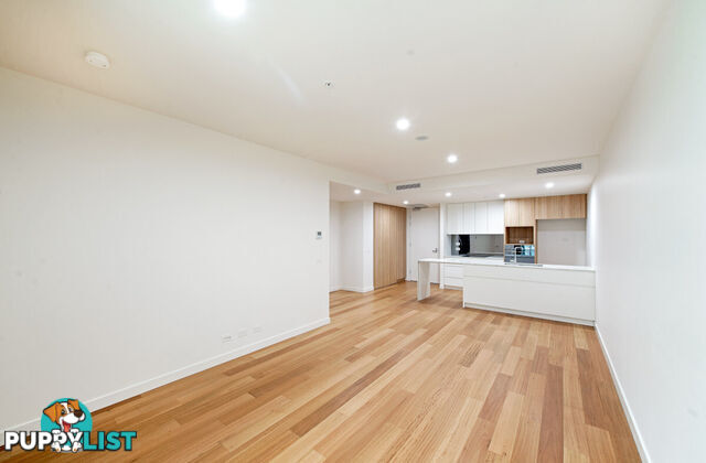 424/45 Ainslie Avenue BRADDON ACT 2612