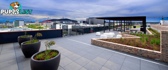 424/45 Ainslie Avenue BRADDON ACT 2612