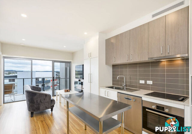 77/235 Flemington Road FRANKLIN ACT 2913