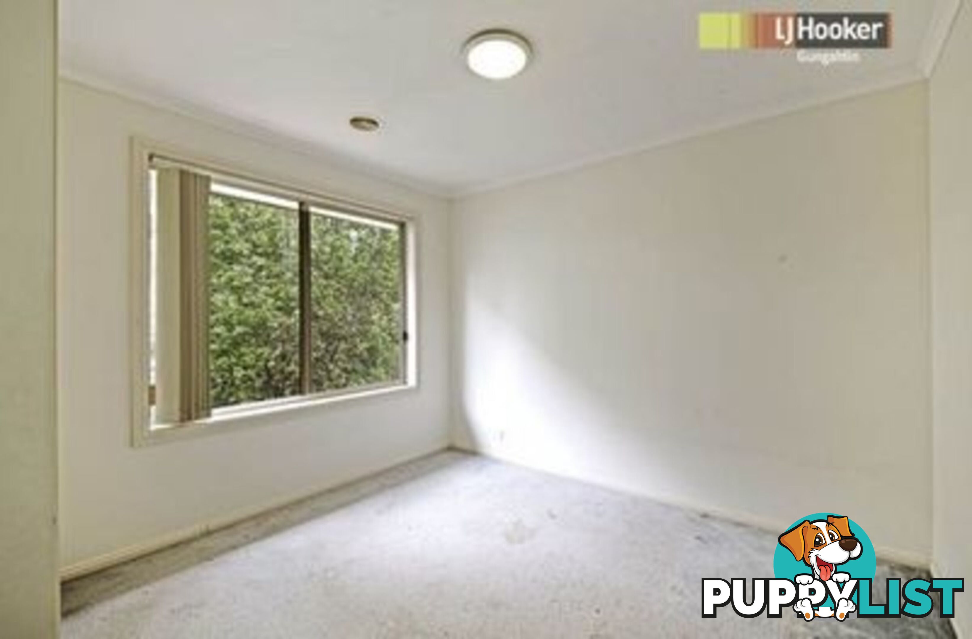 17 Narran Street AMAROO ACT 2914