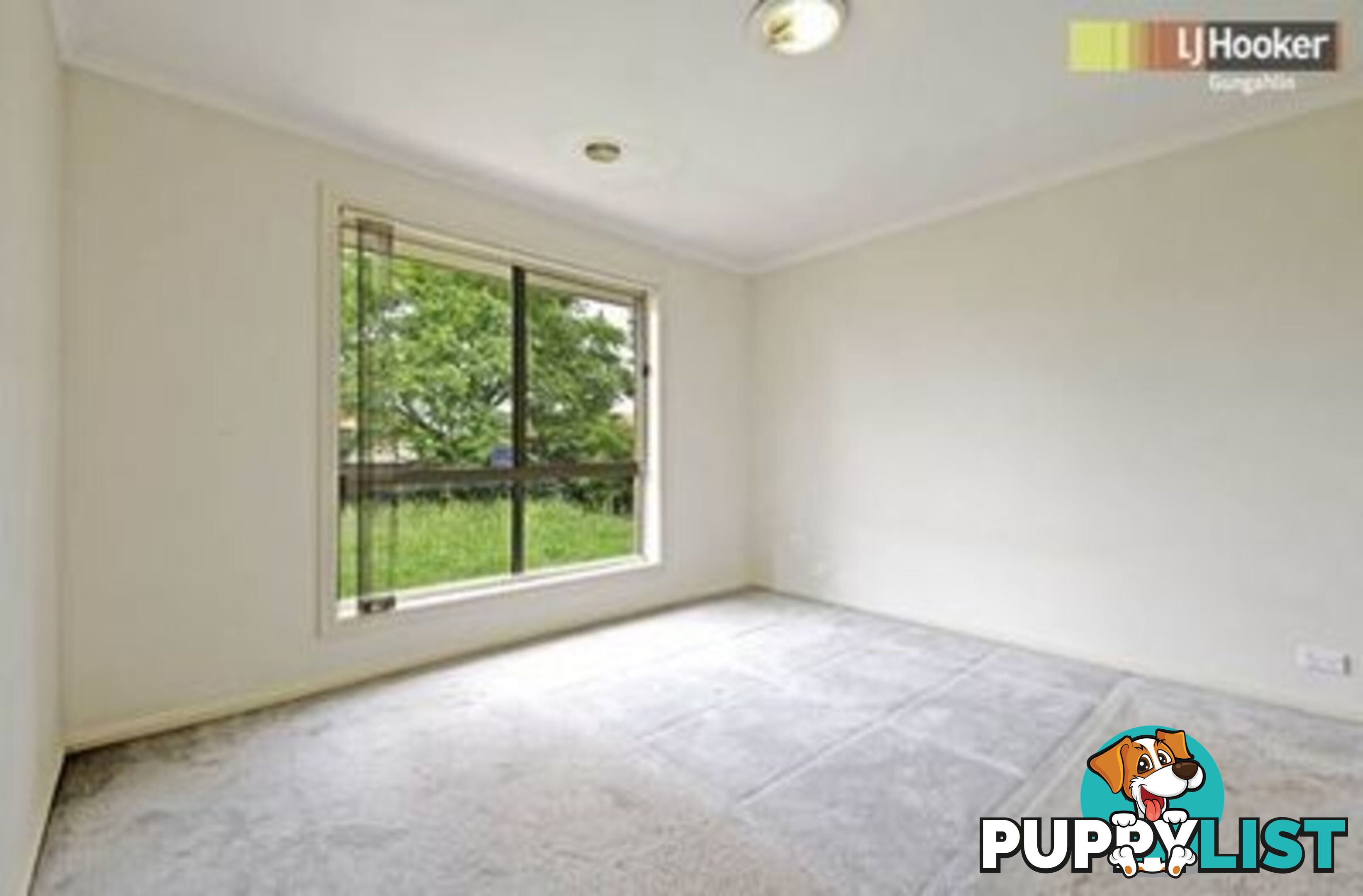 17 Narran Street AMAROO ACT 2914