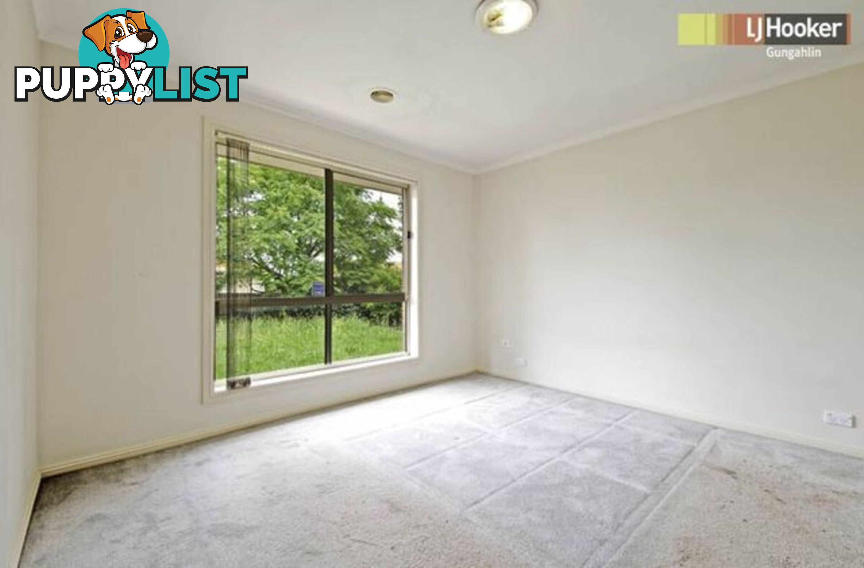 17 Narran Street AMAROO ACT 2914