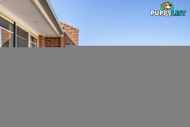 6/22 Lander Crescent AMAROO ACT 2914